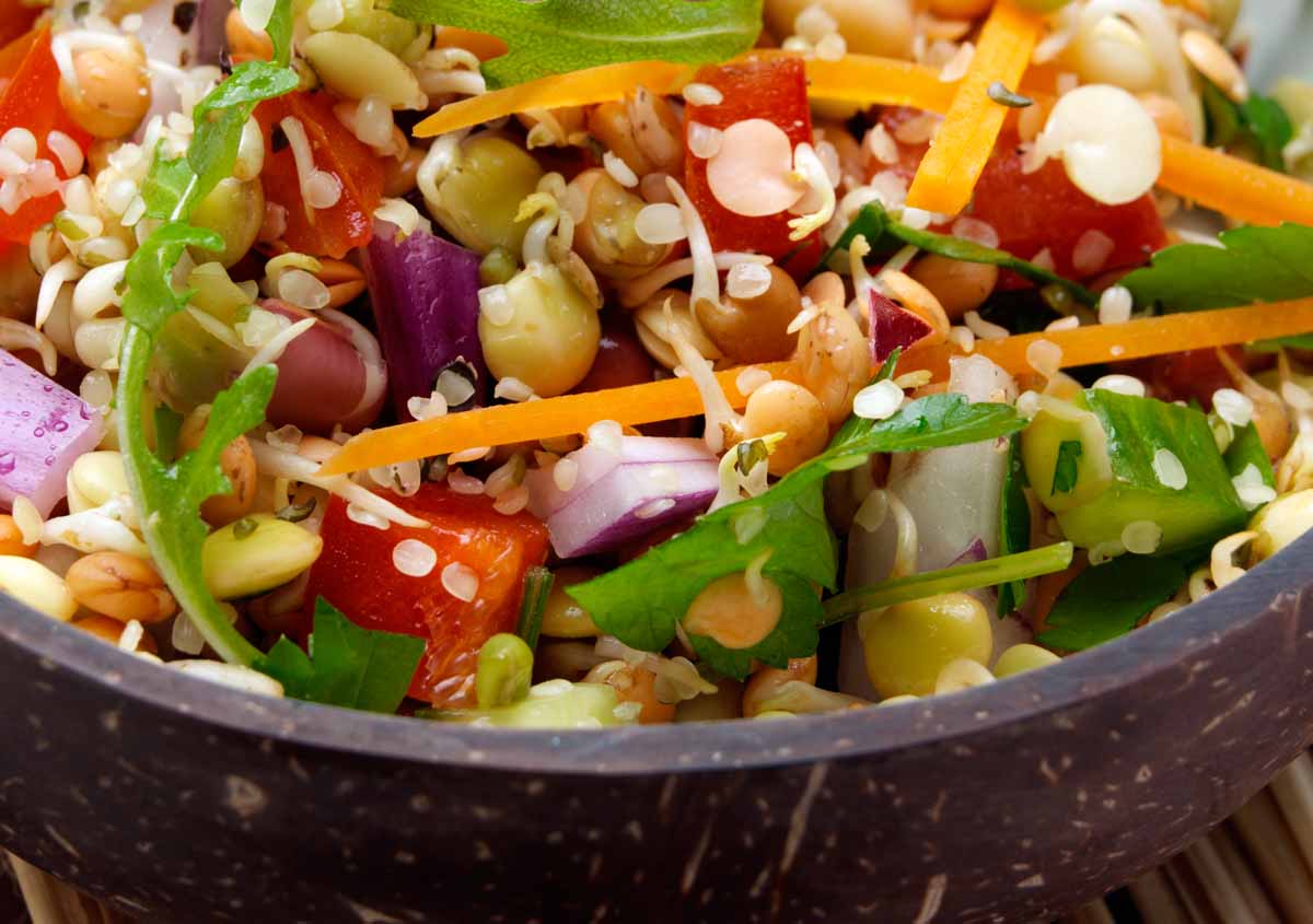 Sprouting Raw Salad - Vegan - Laura's Idea