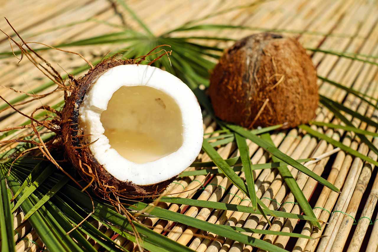 Coconuts health benefits and uses - Laura's Idea
